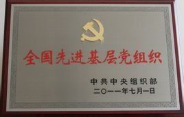 黨的基層組織 黨的基層組織