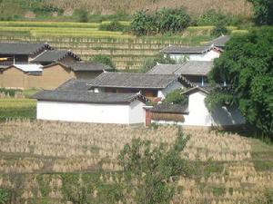 新莊田村 新莊田村