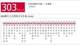 濟南公交303路支 濟南公交303路支