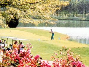 桂林樂滿地休閒世界