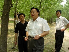 褚時健現象 褚時健現象