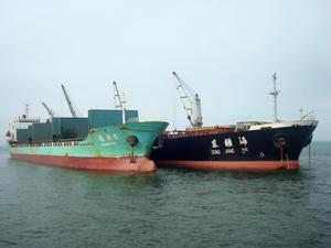 檢疫錨法 檢疫錨法