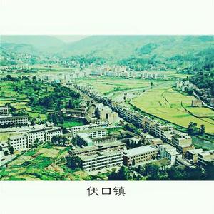 伏口鎮 伏口鎮