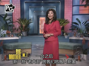 老大哥第十五季 老大哥第十五季