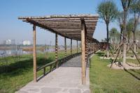 太原汾河濕地公園 太原汾河濕地公園