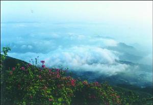 紅岩水庫[湖南省安化縣紅岩水庫]