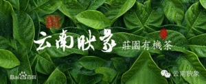 雲南映象茶業有限公司 雲南映象茶業有限公司