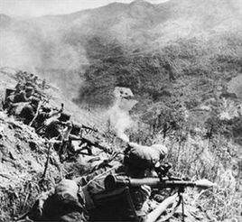 越南316A師 越南316A師