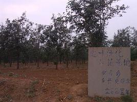 宋高和村 宋高和村