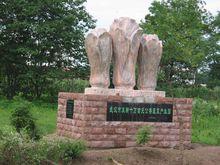 雙柳鎮[武漢市雙柳鎮]