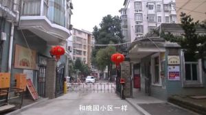 紫橋小區 紫橋小區