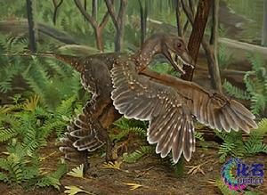 北票鳥化石國家級自然保護區