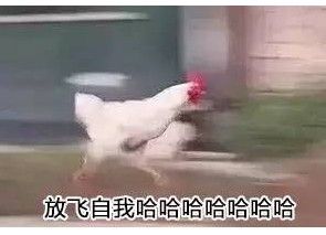 污力女友 污力女友