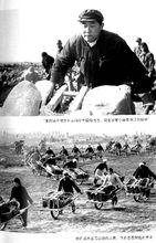 鄭永和[中共河南省委副書記]