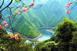 寧海森林溫泉 寧海森林溫泉