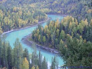 電影《大地之歌》精彩劇