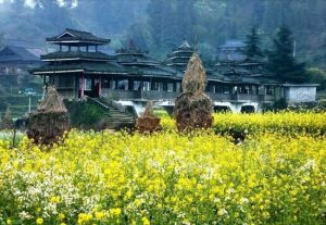 柳州大橋農業旅遊區 柳州大橋農業旅遊區