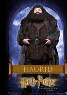 哈利·波特[華納兄弟出品的系列改編電影]