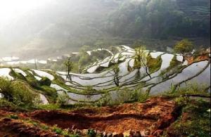 潘家灣梯田 潘家灣梯田