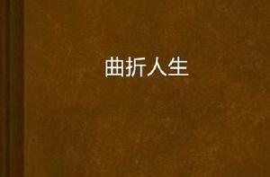 曲折人生 曲折人生
