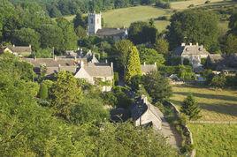 龍樹村[雲南省昆明東川區紅土地鎮龍樹村委會]