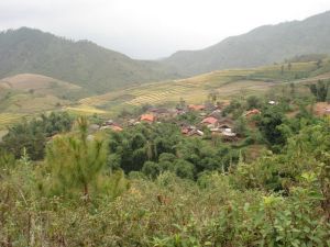 芒卡河二組村 芒卡河二組村