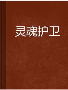 靈魂護衛 靈魂護衛