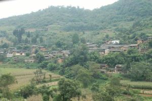 迎廠箐村 迎廠箐村