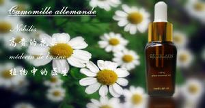嬌蘭怡人洋甘菊精油
