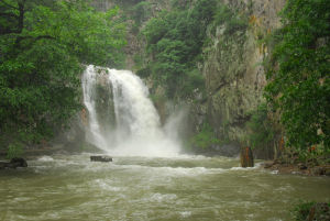 五泄國家森林公園 五泄國家森林公園