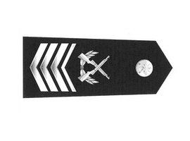 一級軍士長 一級軍士長