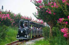 武漢紫薇都市田園