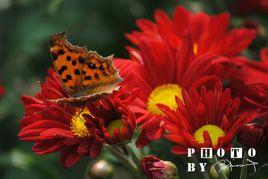 馬鞍山雨山湖 馬鞍山雨山湖