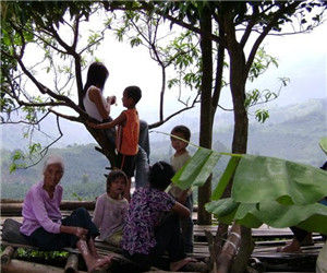 陸家寨村 陸家寨村