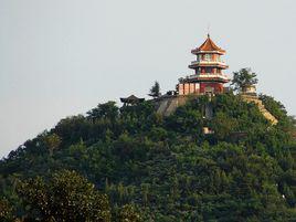 百望山森林公園 百望山森林公園