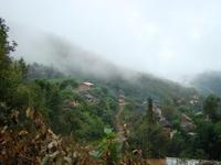 永然自然村 永然自然村