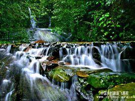 桂林蝴蝶谷 桂林蝴蝶谷