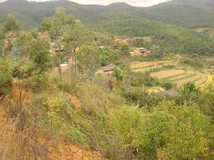 小紫溪村 小紫溪村