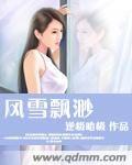 風雪飄渺 風雪飄渺