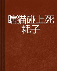 瞎貓碰上死耗子 瞎貓碰上死耗子
