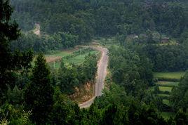 金城鄉[四川省南充市閬中市金城鄉]