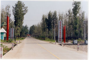 北宅民俗村 北宅民俗村