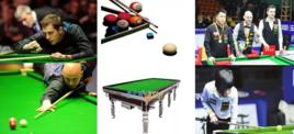 中式檯球世錦賽 中式檯球世錦賽