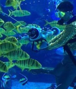 海洋蜂群機器人 海洋蜂群機器人