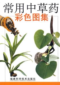 常用中草藥彩色圖集