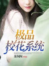 極品校花系統[暗夜文學網小說]