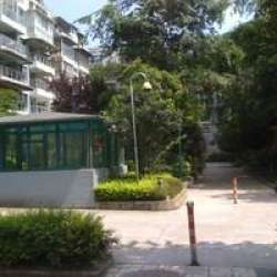 雙楠風景 雙楠風景