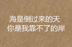 海是倒過來的天你是我靠不了的岸 海是倒過來的天你是我靠不了的岸