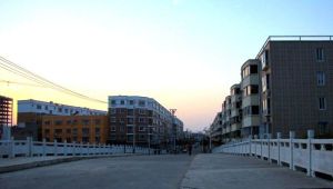 新野縣王莊鎮 新野縣王莊鎮