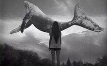 藍鯨[死亡遊戲]